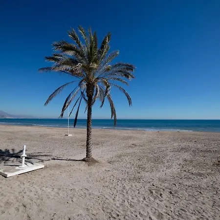 Moonkey - Estudio Lanzas El Campello